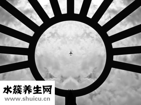 猪瘟传染人吗