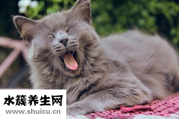 舌头大是怎么回事