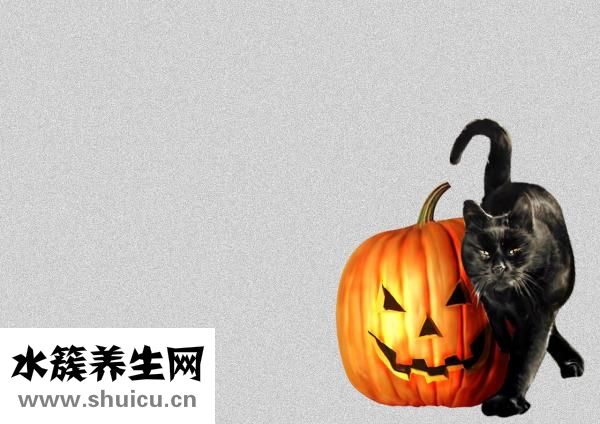 牙齿用手摸有臭味