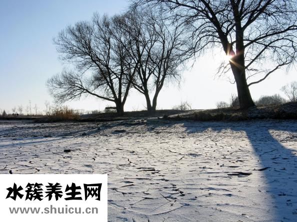 阳池准确位置图