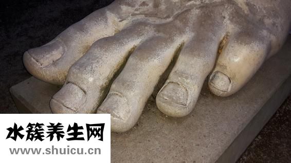 替诺福韦说明书