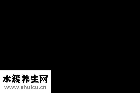 幽门螺旋杆菌饮食