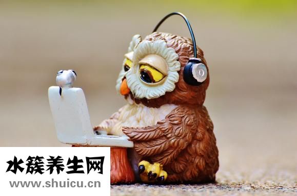 鱿鱼怎么洗