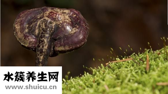 癣早期症状