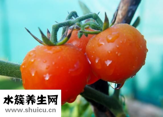 草莓放冰箱