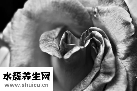 慢性萎缩性胃炎禁忌
