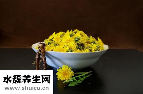 通草怎么吃