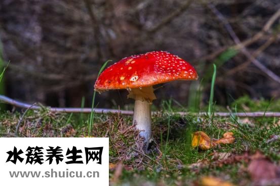 西兰花怎么吃