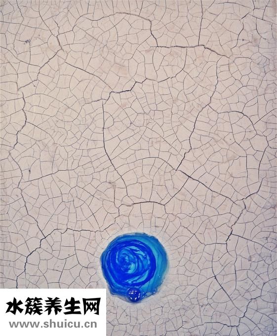 鱿鱼怎么洗