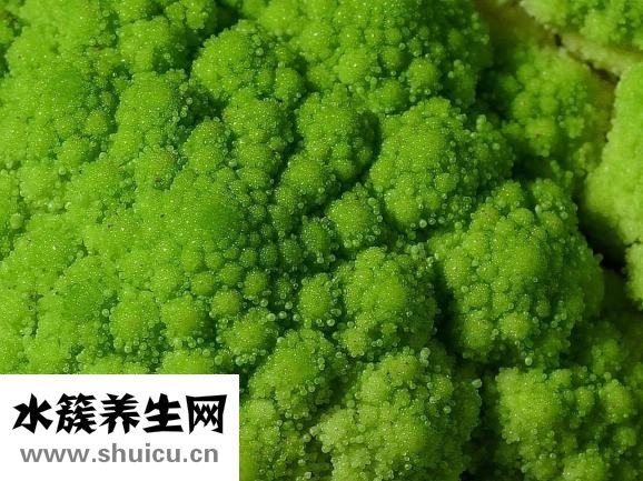 西兰花可以放多久