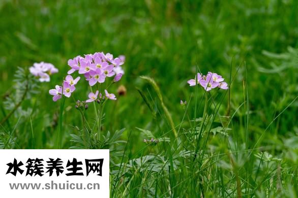 黄豆渣怎么做好吃