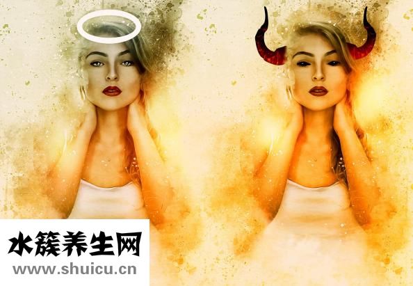 胃在哪个部位