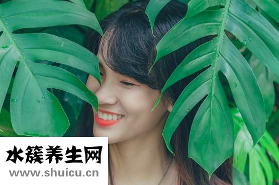 黑枸杞可以吃吗