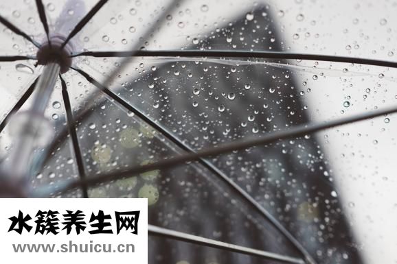 猪瘟传染人吗