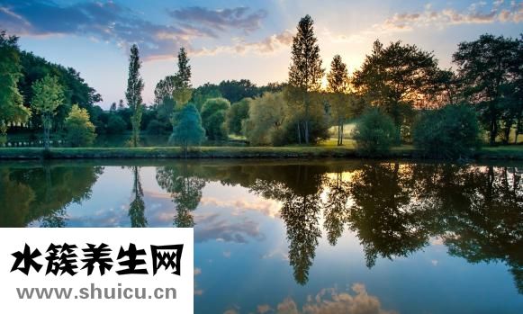 五香粉配方