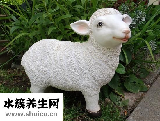 烀猪肉放什么调料