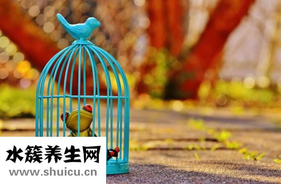 肾彩超需要空腹吗