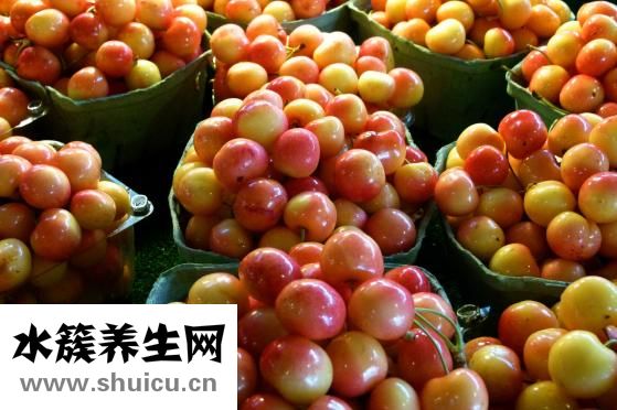 车厘子苗价格表