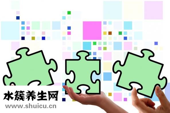 怀孕四个月肚子多大