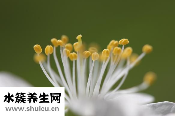 月子里可以洗澡吗
