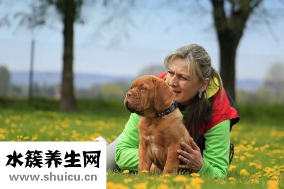 糖化白蛋白