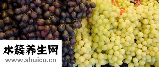 无根滕的功效