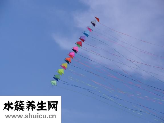 蛇酒能壮阳吗
