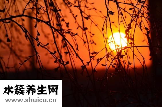 试纸两道杠