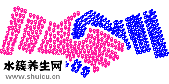 盐酸帕罗西丁