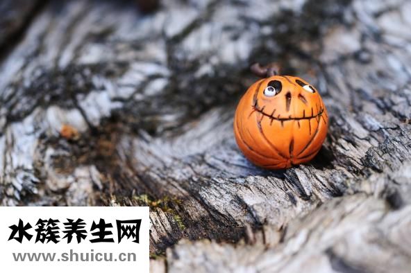 养生粥的做法大全