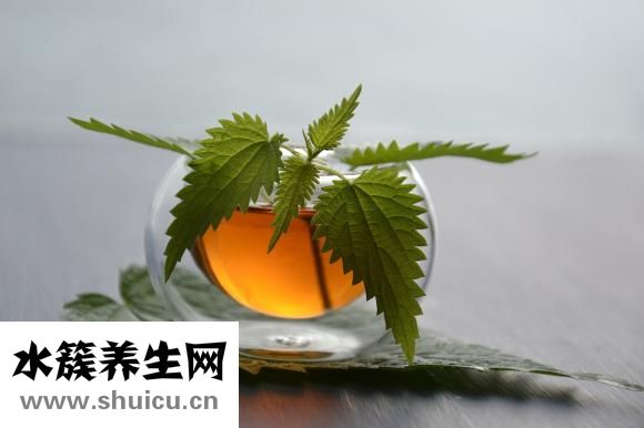 油麦菜的热量