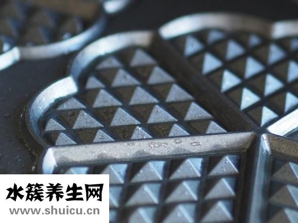 茼蒿怎么摘