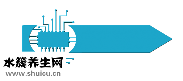腰椎融合手术