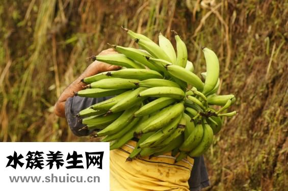 香蕉通便吗