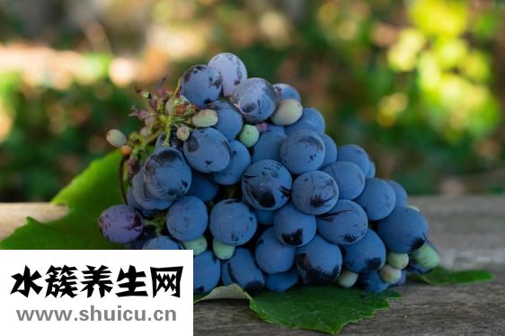速冻饺子煮多久才熟