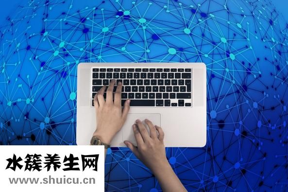 胸骨后是什么位置图