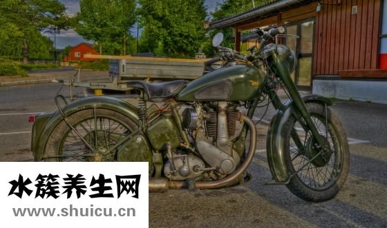 血清和血浆