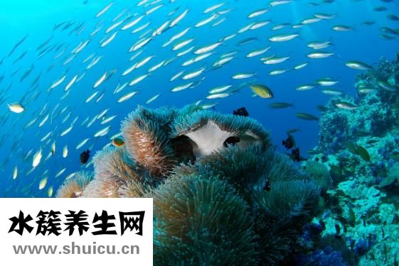 肾彩超需要空腹吗