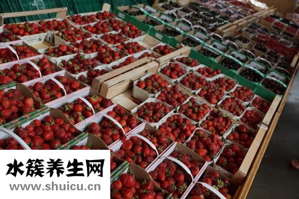 丝瓜的热量