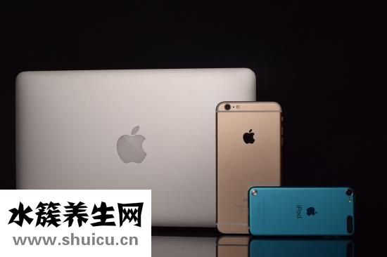养生粥的做法大全