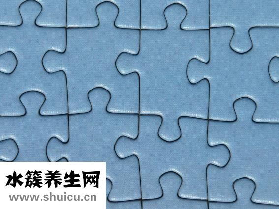 血窦是什么意思
