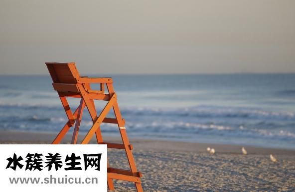 孕妇能吃甲鱼不