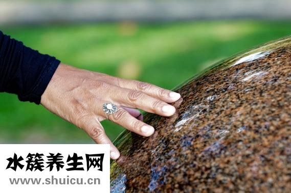 胶原蛋白饮料