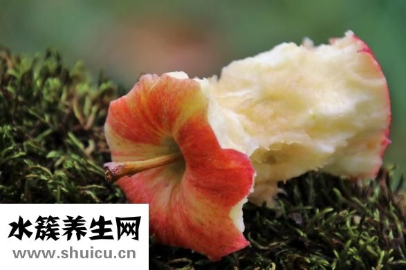 风流果的功效与用法