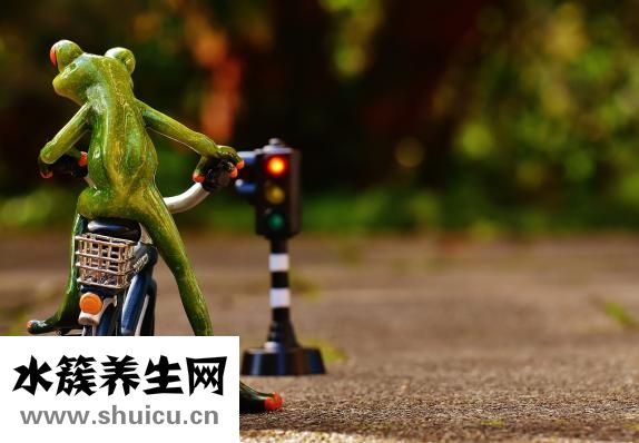 癣能自愈吗