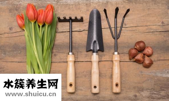 生米可以吃吗