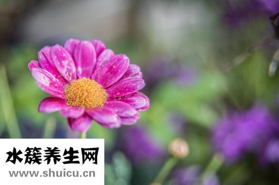 肝火旺是什么症状