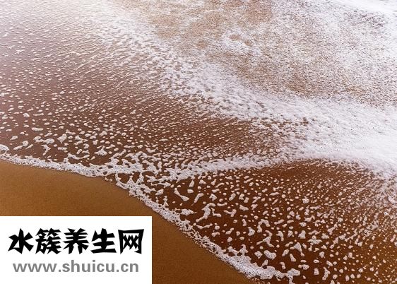 牙龈卟啉单胞菌