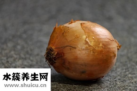 油麦菜的热量