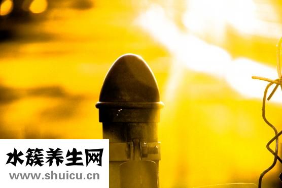 驼背矫正器有用吗